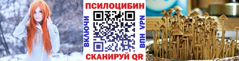 Псилоцибиновые грибы GOLDEN TEACHER  Купить закладки  Сатка 